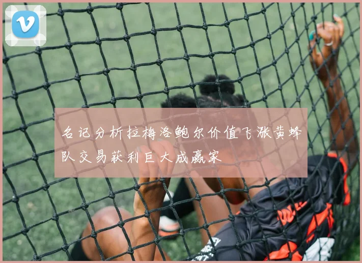 名记分析拉梅洛鲍尔价值飞涨黄蜂队交易获利巨大成赢家