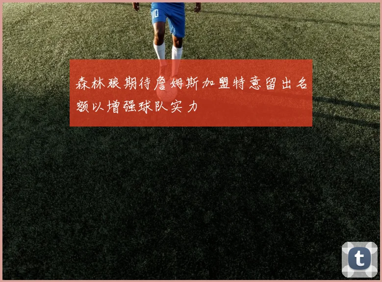 森林狼期待詹姆斯加盟特意留出名额以增强球队实力