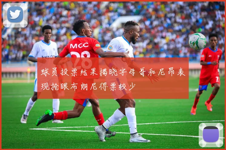 球员投票结果揭晓字母哥和尼昂表现抢眼布朗尼得票较少